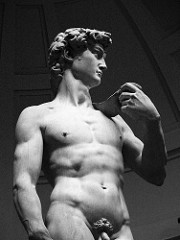 David by Michelangelo, High Ren
- defiant hero of florentine republic, kind of political as it would've been in piatza overlooking florence 
- before action of david, looking for foes
- humanism, perfect male anatomy 
- muscular body, tenseness in face, dertmination in browline, deeply set eyes
- ponderation in pose, sense of controppasto, step forward
- tension and reserved energy 
- psychological insight, emotion 
- david = young, but more mature as a man
- hands carved to be very large, shows he will frow larger 
- concept of powerful thing approaching
- white marble emphasizes male white nude
