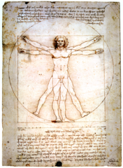 Leonardo da Vinci, Italian.
Self Portrait Drawing, Left. C. 1512—15.
Vitruvian Man, Right. 1485--90
High Renaissance.
