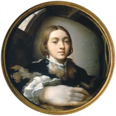 Parmigianino 
Self-portrait 
1524