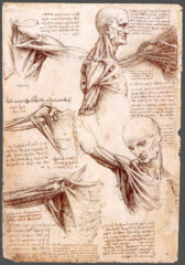 Dissection of a centenarian, da Vinci
1507-8
- Unlike others, da Vinci showed great interest into the internal workings of a human
- wanted to find where in the body life was generated and where the soul lives