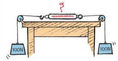 Two 100-N weights are attached to a spring scale as shown. Does the scale read 0, 100, or 200 N, or does it give some other reading? (Hint: Would it read any differently if one of the ropes were tied to the wall instead of to the hanging 100-N weight?)